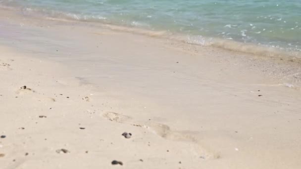 Αίγυπτος παραλία και κόκκινη θάλασσα. Τοπία άποψη της παραλίας θάλασσα άμμο κατά τη διάρκεια της ημέρας του καλοκαιριού - Πλάνα, βίντεο
