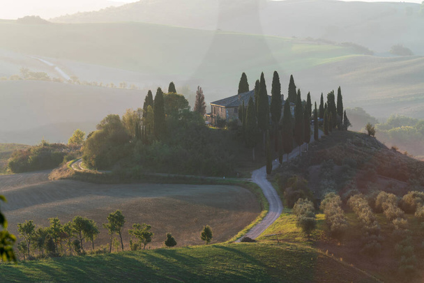 Toscana, paesaggio rurale all'alba. Azienda agricola rurale, cipressi, campo verde, luce solare e nuvole. Italia, Europa. - Foto, immagini