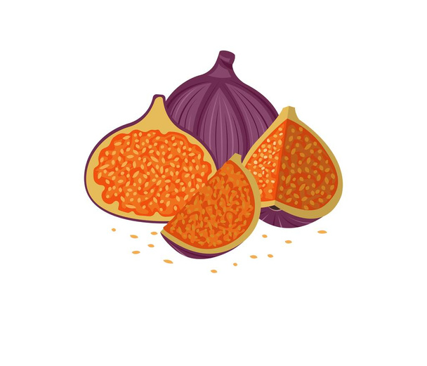 Fig slices. Close-up. Multicolored image of a fig on a white background. Vector illustration. - Вектор,изображение