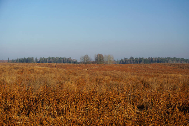            Słoneczny dzień w listopadzie. Krajobraz wiejski. Horyzont. Nieskompresowane pole i błękitne niebo                      - Zdjęcie, obraz