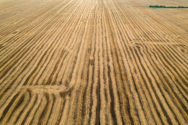 View from above field after harvest. Incredible landscapes and textures. The dug-up strips left by the combines form geometric lines stretching parallel to each other to the horizon - Foto, Imagem
