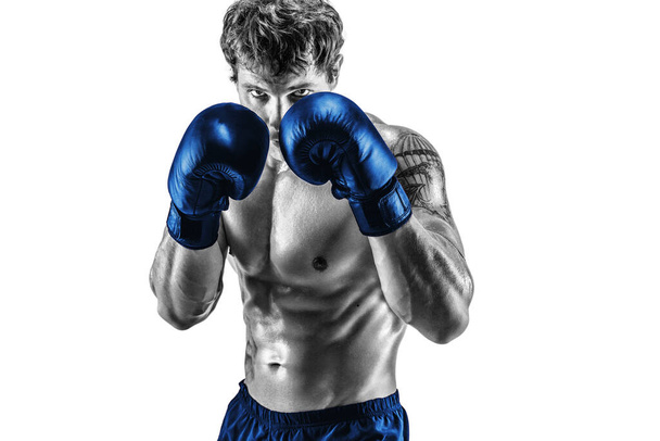 Porträt eines Boxers in blauen Handschuhen, der auf weißem Hintergrund steht. Schwarz-weiße Silhouette  - Foto, Bild