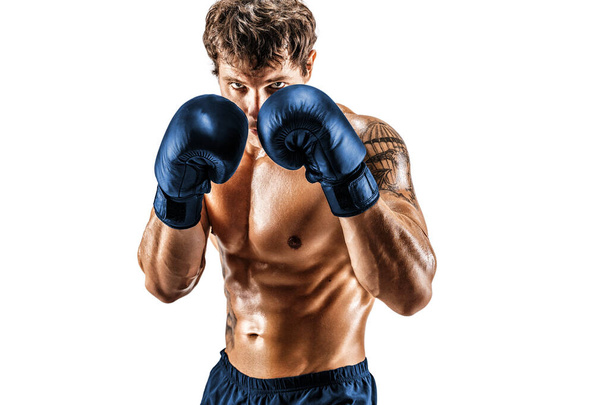 Retrato de boxeador musculoso en guantes azules que se levanta sobre fondo blanco. Concepto deportivo  - Foto, Imagen
