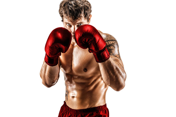 Portret van gespierde bokser in rode handschoenen die op een witte achtergrond staat. Sport concept  - Foto, afbeelding