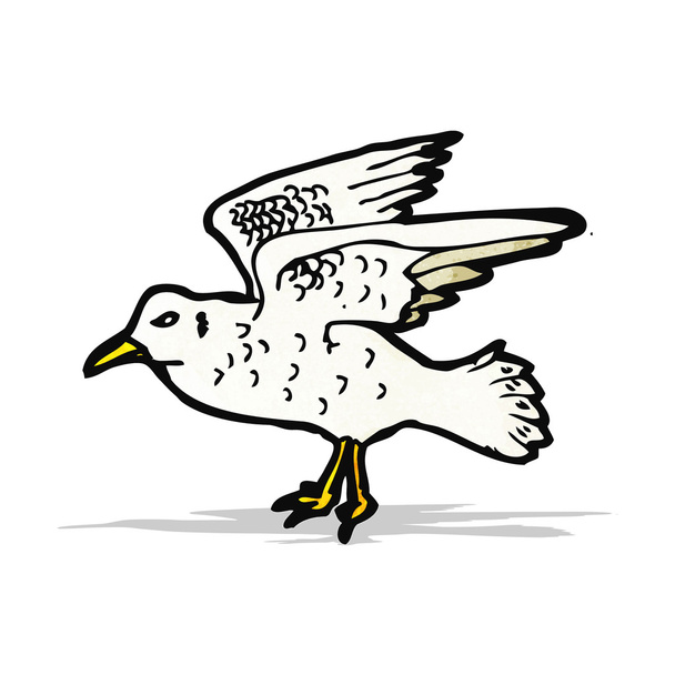 seagull illustration - Vetor, Imagem