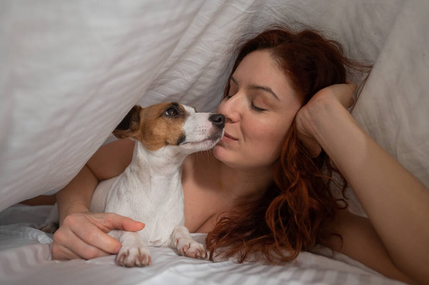 Caucasian red-haired woman sleeps in an embrace with a jack russell terrier dog on a white sheet. - Foto, imagen