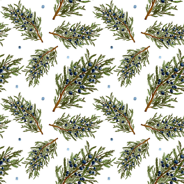 seamless pattern sprig of juniper blue berries - 写真・画像