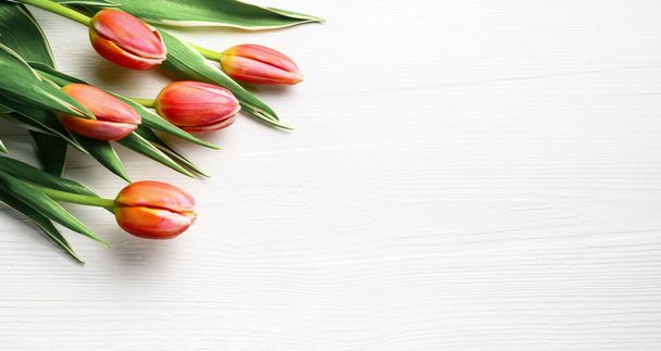 Ramo de tulipanes rojos sobre un fondo de madera blanca. Vista superior. Copiar espacio - Foto, Imagen