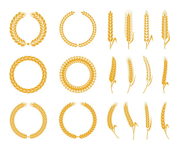 Cultivos de cereales coronas redondas e iconos de trigo, avena, centeno y cebada - Vector, imagen