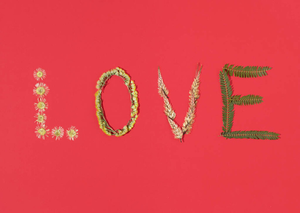 Word LOVE made of dried flowers and leafs. Flat lay horizontal composition on pastel red background, minimal romantic Valentines or International Women's day vintage concept - Photo, Image