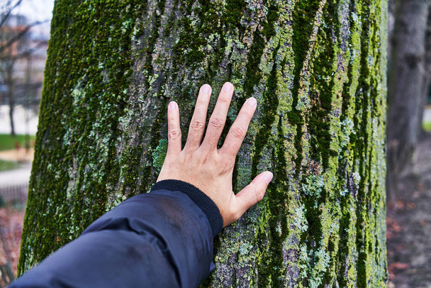  Hand of man touching tree at park - Photo, Image
