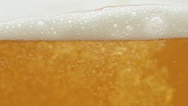 Cerveza fresca burbujeando en vidrio - Metraje, vídeo