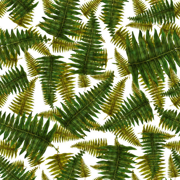 Watercolor seamless pattern with fern leaves. Foliage decoration. Vintage botanical exotic illustration wallpaper. - Photo, Image
