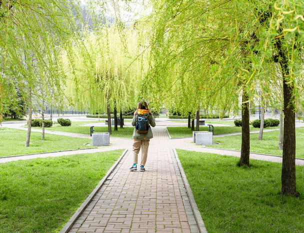Rückansicht einer jungen Touristin mit einem Rucksack, die die Allee der Trauerweide mit jungen Frühlingsblättern entlanggeht - Foto, Bild