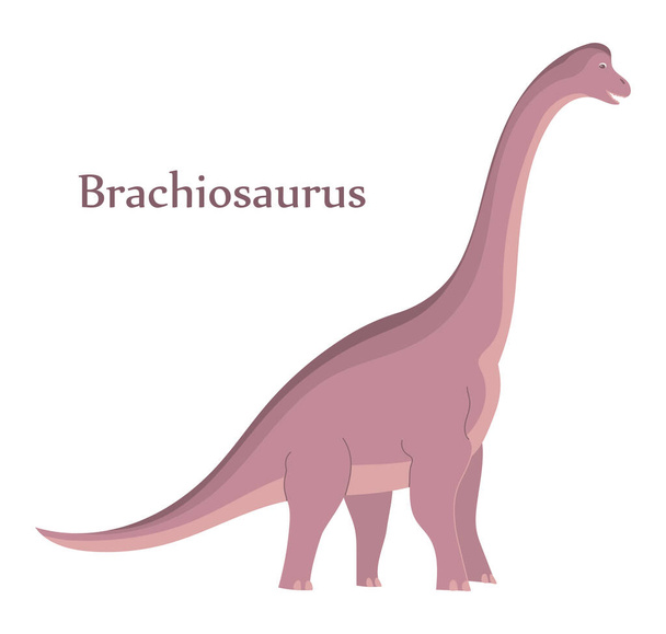 Gran braquiosaurio con cuello largo. Dinosaurio herbívoro del período Jurásico. Ilustración de dibujos animados aislados vectoriales. Fondo blanco - Vector, Imagen