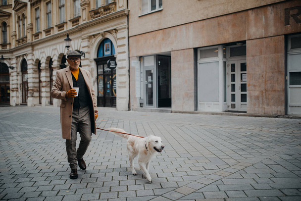 Elegant senior man with take away coffee walking his dog outdoors in city in winter. - Foto, Imagem