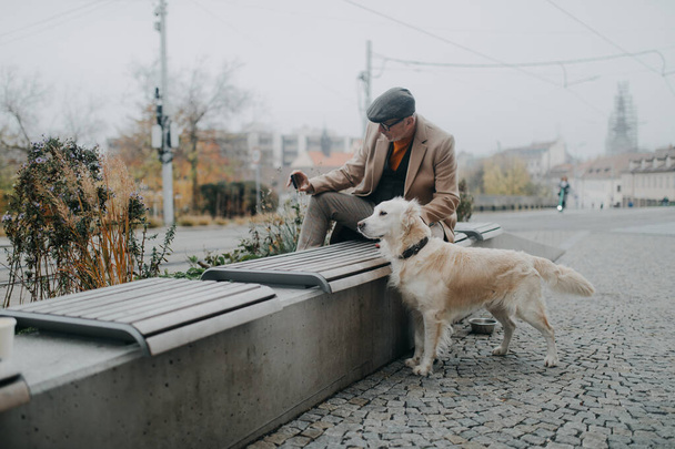 Felice uomo anziano seduto sulla panchina e prendere selfie con il suo cane all'aperto in città. - Foto, immagini