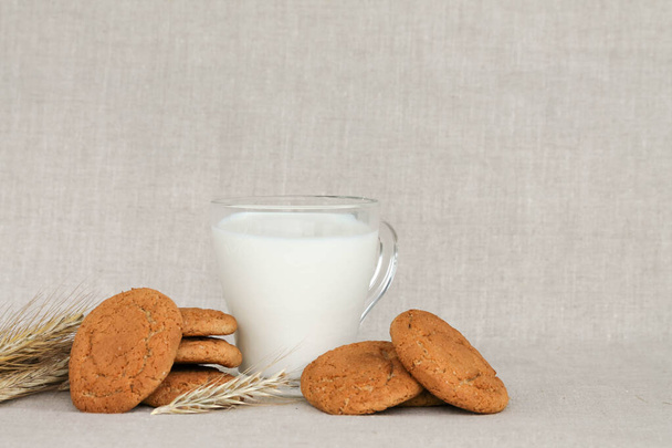 oatmeal cookies, ears of wheat with a glass of milk, text space - Foto, immagini