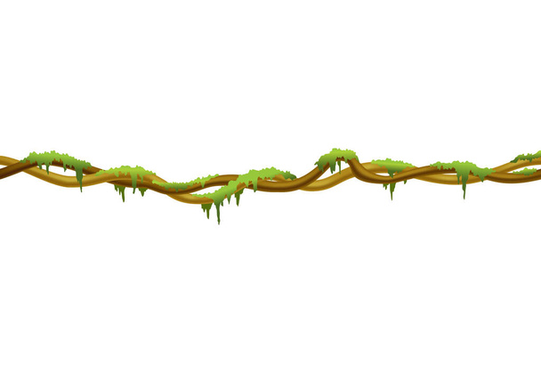 Ліана на кордоні. Зелений мох, що висить на гілці. Картунові джунглі повзучі. Тропічна рослина - Вектор, зображення