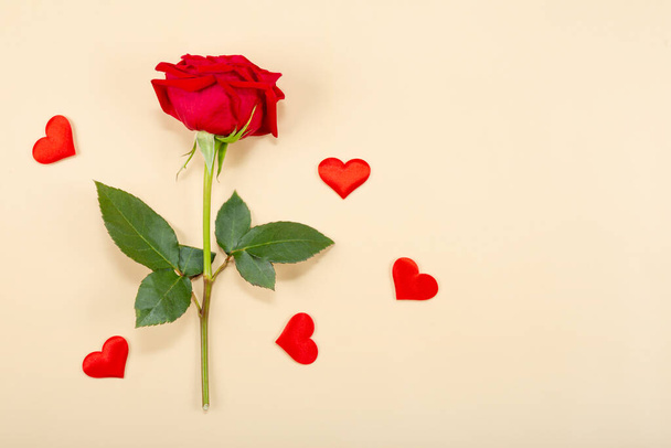 Red rose and red hearts on beige background, top view, free space for text. Greeting card for Valentines day - 写真・画像
