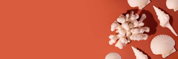 Banner con Coral del Mar Blanco y Seashell sobre un fondo de color ladrillo con espacio vacío para el texto. Concepto minimalista de MArine - Foto, imagen