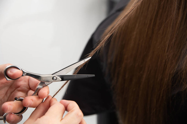 Professional hair stylist holding comb and hot thermal scissors cutting tips of long straight hair lock closeup. Hairdresser salon, barber shop, perfect look, modern technique, new hairdo concept. - Φωτογραφία, εικόνα