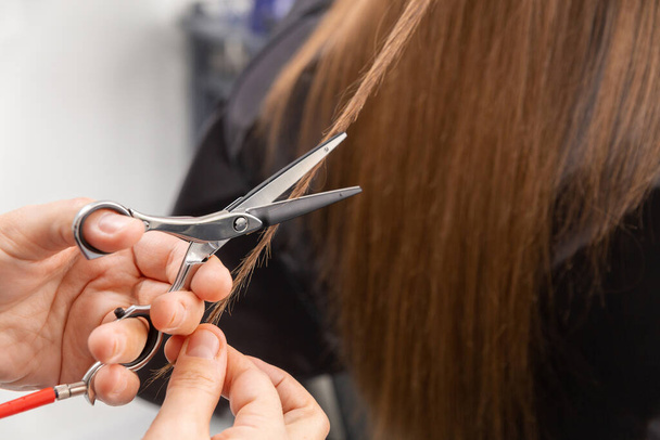 Professional hair stylist holding comb and hot thermal scissors cutting tips of long straight hair lock closeup. Hairdresser salon, barber shop, perfect look, modern technique, new hairdo concept. - Foto, Imagem