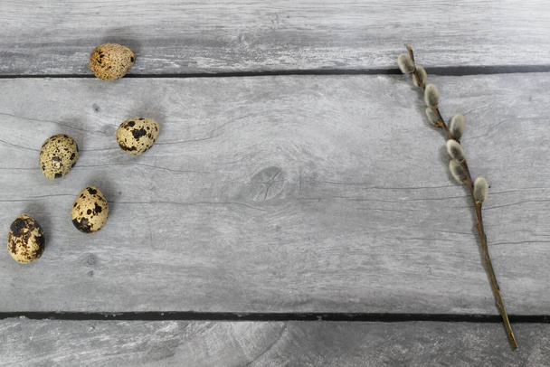 Easter background. Willow branch on the right and quail eggs on the left against a light wood background - Foto, afbeelding
