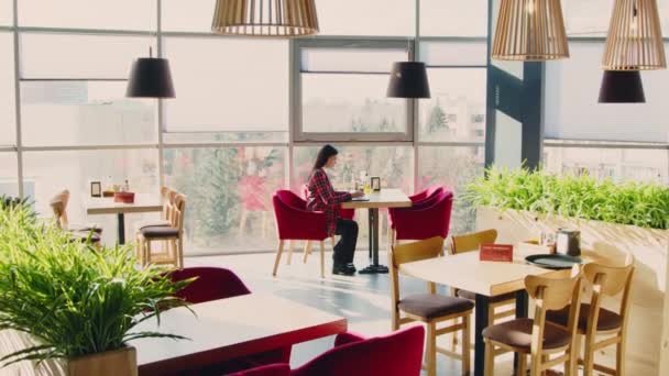 Lady Freelancer está trabajando en un café elegante - Metraje, vídeo