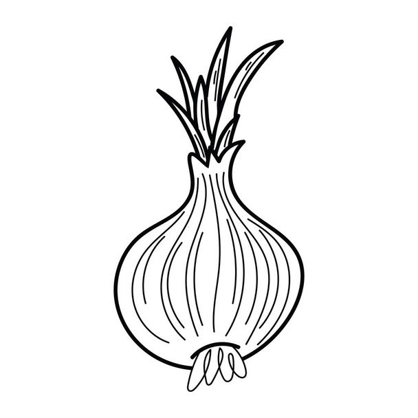 Onion hand drawn icon in doodle style isolated on white background. Design for menu, kitchen, coloring book. - Вектор,изображение
