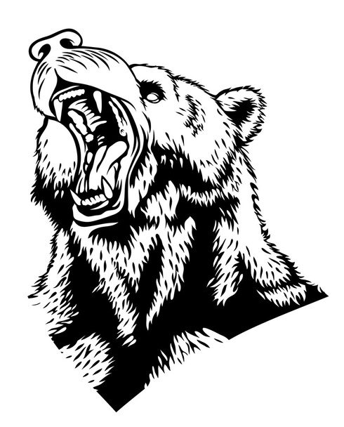 głowę niedźwiedzia - Wektor, obraz