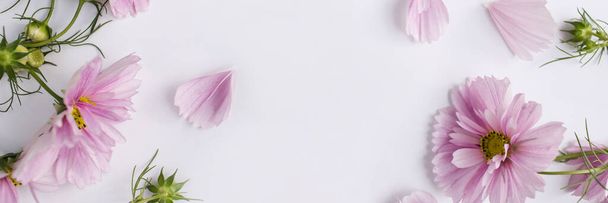 Banner Fresh pink flowers on white background. Natural beauty product. Flat lay, top view, copy space. Flowers composition. Spring, summer concept. - Φωτογραφία, εικόνα