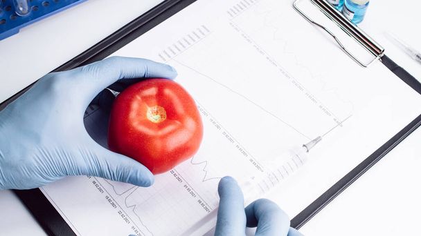 Генетична модифікація GMO. Вчений вводить рідину з шприца в червоний помідор. Генетично модифікована їжа
 - Фото, зображення