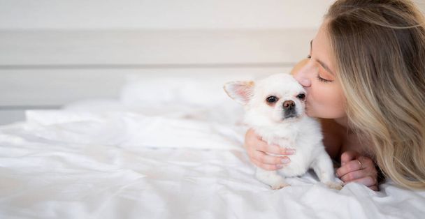 Piękna biała kobieta w piżamie w łóżku i całuje swojego słodkiego, brązowego psa Chihuahua Śpiącego samotnie na łóżku. Sztandar. przestrzeń kopiowania. - Zdjęcie, obraz