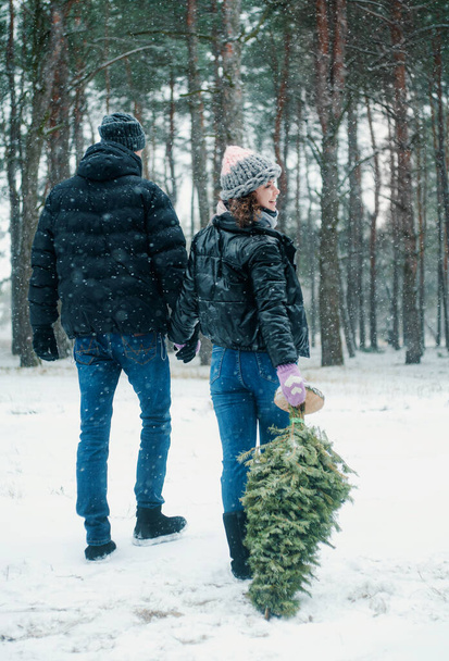 Mulher e homem caminhando na floresta de inverno. casal feliz segurando pinho árvore se diverte com neve. - Foto, Imagem