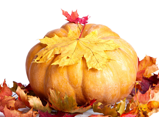 Pumpkin and maple leaves - Foto, Imagen