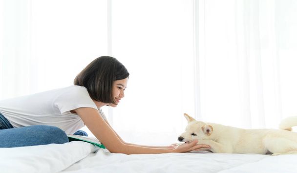 Fehér Shiba Inu japán törzskönyv imádnivaló kiskutya marad az ágyban fiatal nő a hálószobában. A kedvtelésből tartott állatok szeretőjének fogalma - Fotó, kép