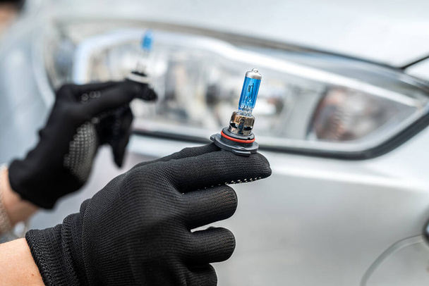 Car service men holding halogen h7 lamp for repair or change in headlight - Photo, Image