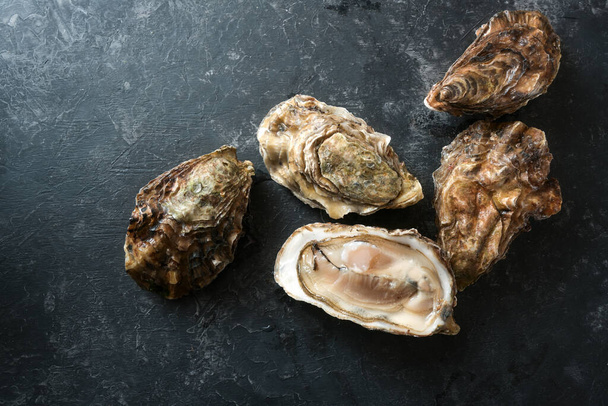 Group of oysters, one is open on a dark gray slate background, copy space, top view from above, selected focus - Valokuva, kuva