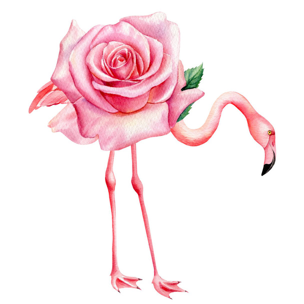 Акварельна троянда Квітка і фламінго на білому тлі для модного дизайну вітальних листівок
 - Фото, зображення
