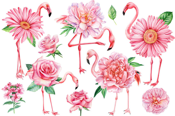Set fiori rosa e fenicotteri uccelli su uno sfondo bianco. Illustrazione disegnata a mano ad acquerello, disegno digitale - Foto, immagini