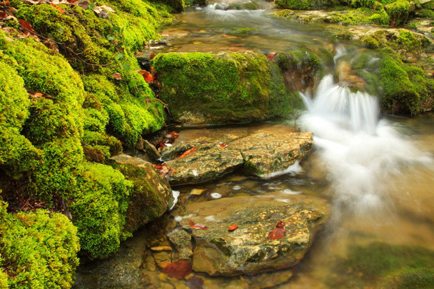 Гірський потік, мохоподібні камені
 - Фото, зображення