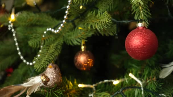 Κόκκινη Χριστουγεννιάτικη μπάλα σε χριστουγεννιάτικο δέντρο. Νέο Έτος και Χριστούγεννα έννοια - Πλάνα, βίντεο
