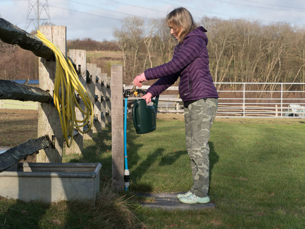 A standing lady fills a green watering can from a stand pipe tap in a campsite field.She wears pink rubber gloves and camouflage trousers.Hose pipe seen hanging on a wooden railed fence. - Photo, Image
