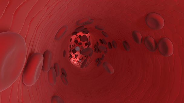 Endothel. Rote Blutkörperchen - Foto, Bild