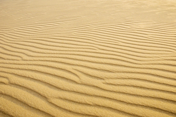 Sand dunes - Photo, Image