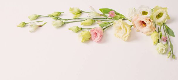 spring beautiful flowers on white background - Zdjęcie, obraz