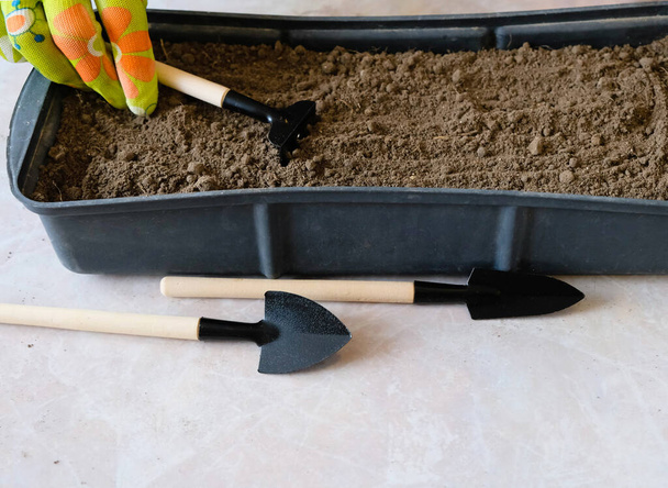 Ensemble de multi-outils de jardin pour la culture à domicile de plantes. Une main dans un gant de jardin nivelle le sol. - Photo, image