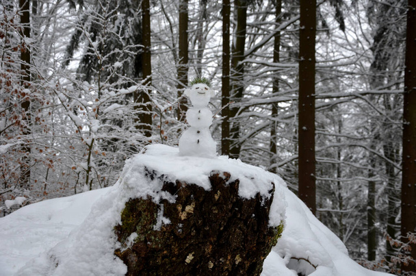 kleiner Schneemann, der aussieht wie ein WaldKobold mit einem Fichtenzweig anstelle von Haaren. er hat Ohren und einen teuflischen Ausdruck inmitten eines verschneiten Waldes auf einem Baumstumpf - Foto, Bild