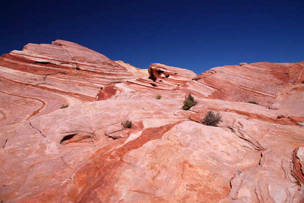 Od białego do różowego do czerwonego na skale Doliny Ognia w Nevadzie - Zdjęcie, obraz